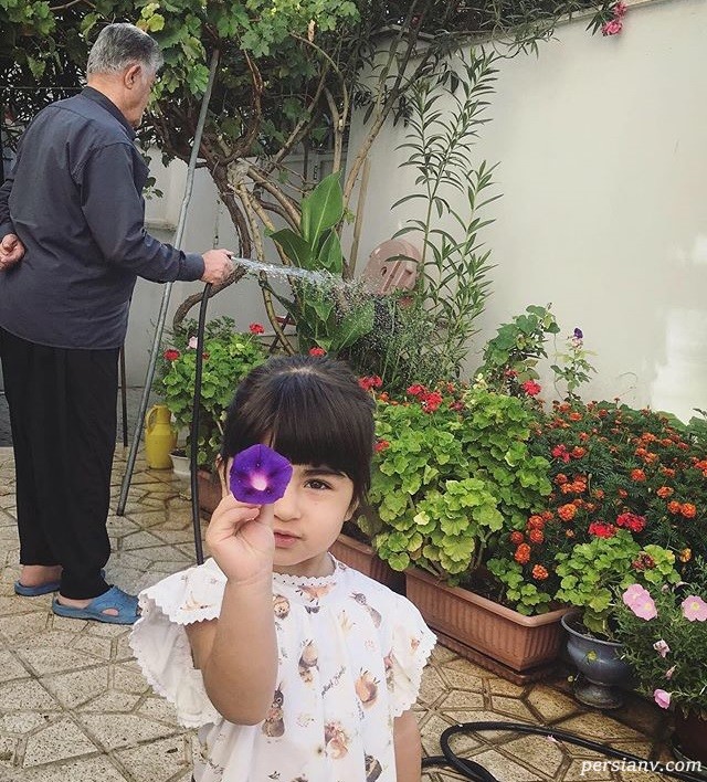 کوروش سلیمانی زندگی کوروش سلیمانی