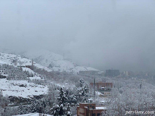 فریبا نادری شهادت سردار سلیمانی