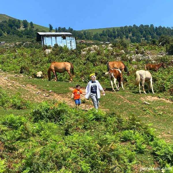 بهنوش طباطبایی بهنوش طباطبایی