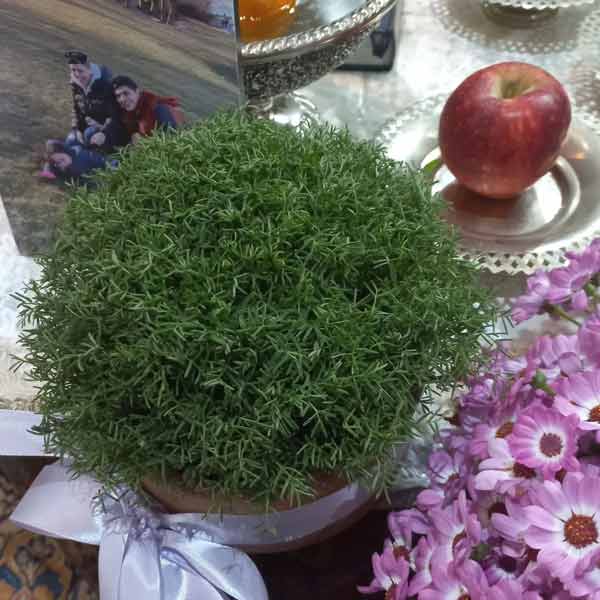 سفره هفت سین بازیگران ۱۴۰۲