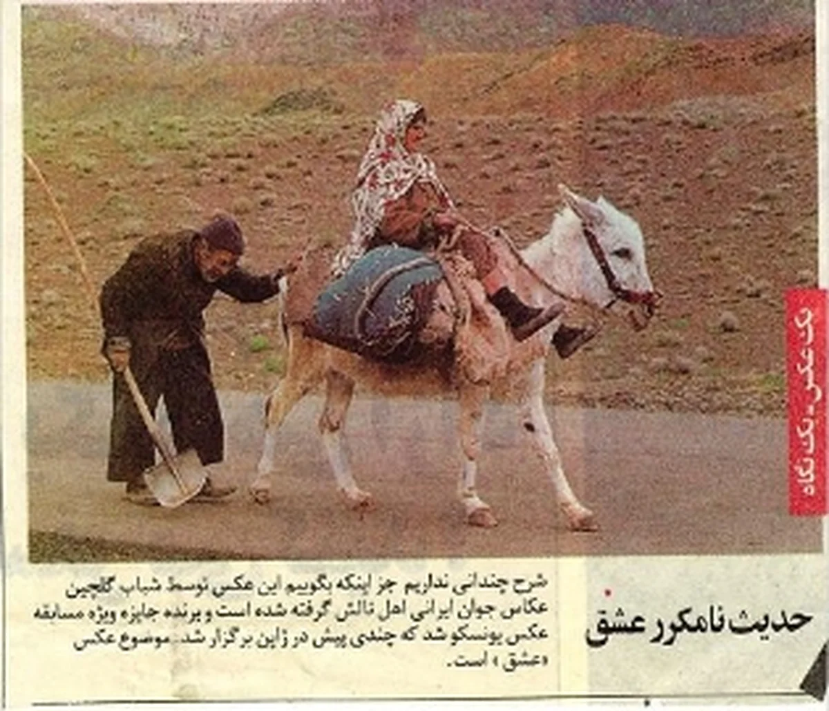 زیباترین تصویر روز عشاق