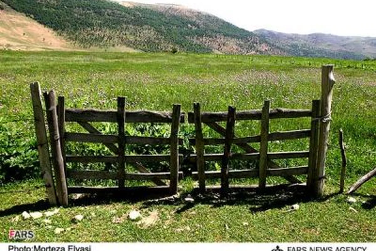 عکس طبیعت تابستانی: سفری به قلب مناظر رویایی و دل‌انگیز