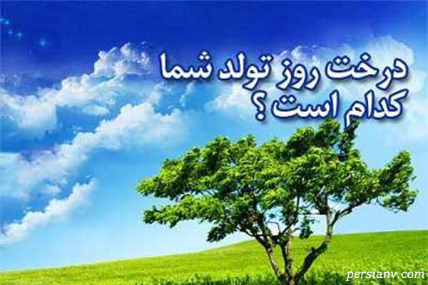طالع بینی درخت روز تولد