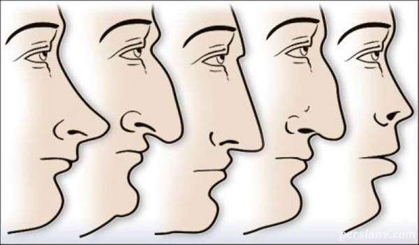شخصیت شناسی افراد از روی شکل بینی شخصیت شناسی از روی بینی