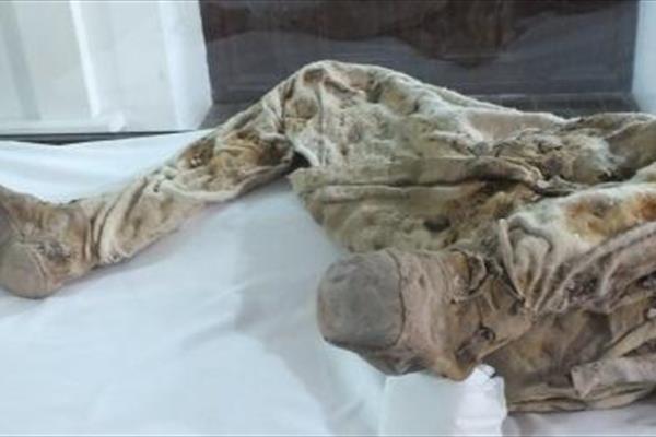 مومیایی پسر هخامنشی زنجان؛ جوان‌ترین مرد نمکی ایران