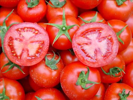 تاثیر گوجه فرنگی بر سرطان معده