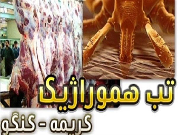 فوت یک نفر در شیراز بر اثر تب کریمه کنگو!