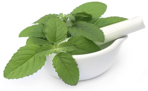 تیر خلاص گیاهان دارویی به آفت دهان