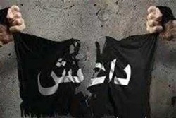 خوشحالی تروریست های تکفیری از زلزله شب گذشته ایران!
