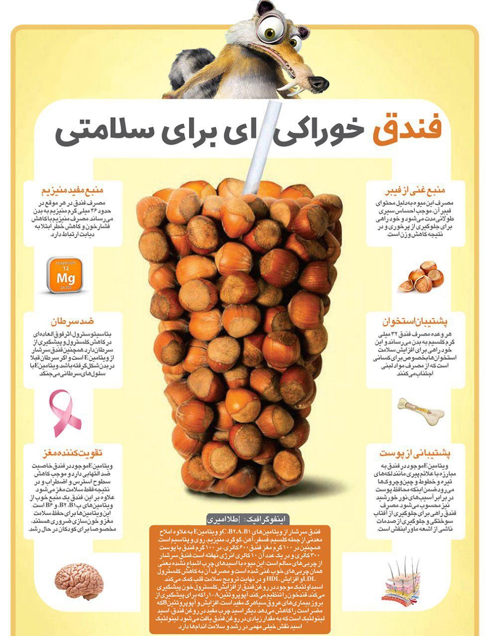 خواص فندق برای انسان خواص فندق