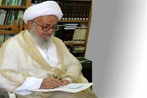 واکنش آیت‌الله‌ مکارم شیرازی به اتهام یک نماینده مجلس!
