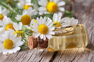 تأثیر معجزه‌آسای بابونه در درمان سرماخوردگی و سایر بیماری ها!