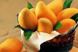 خواص شگفتانگیز هسته انبه برای زیبایی پوست و مو!