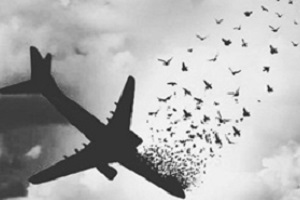 غمانگیزترین غیبت دنیا!