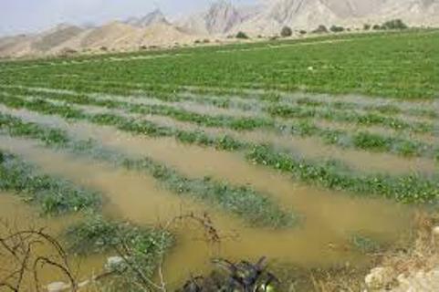 بارش تگرگ در کرمانشاه تگرگ در کرمانشاه