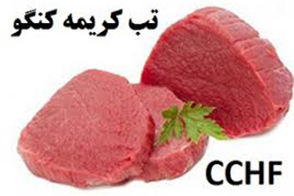 فوت بر اثر تب کریمه کنگو