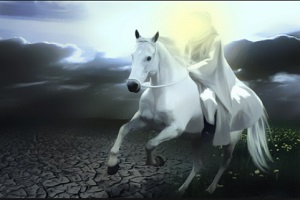 دنیا بعد از ظهور امام زمان (عج) اینگونه خواهد شد!