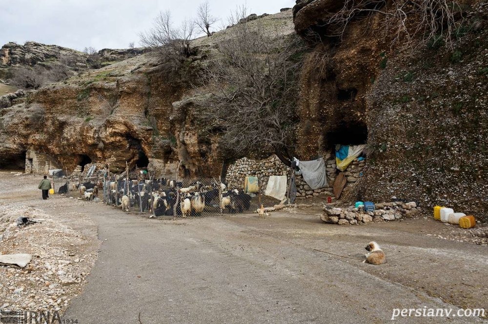 خانواده غارنشین