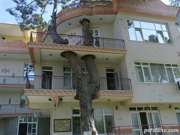 معماری های جالب که احترام به طبیعت را در اولویت قرار داده اند