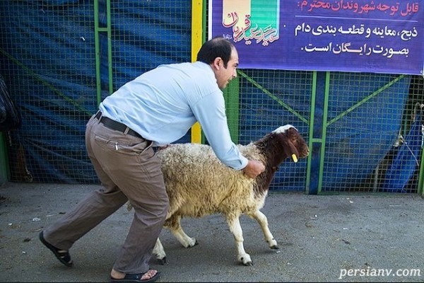 ذبح دام در عید قربان و هشدار وزارت بهداشت در خصوص آن!