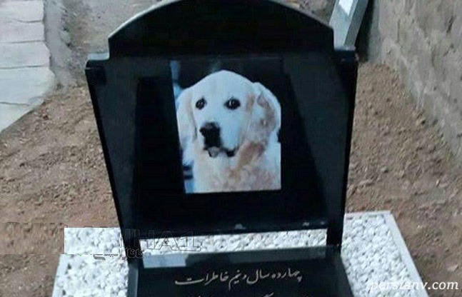 مراسم خاکسپاری سگ
