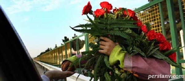دختر بچه گل فروش توسط سگ‌های خیابانی دریده شد