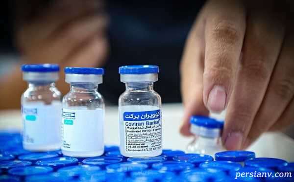 تعریف و حمایت افراد مشهور از واکسن برکت ؛ از ژیلا صادقی تا مژده لواسانی