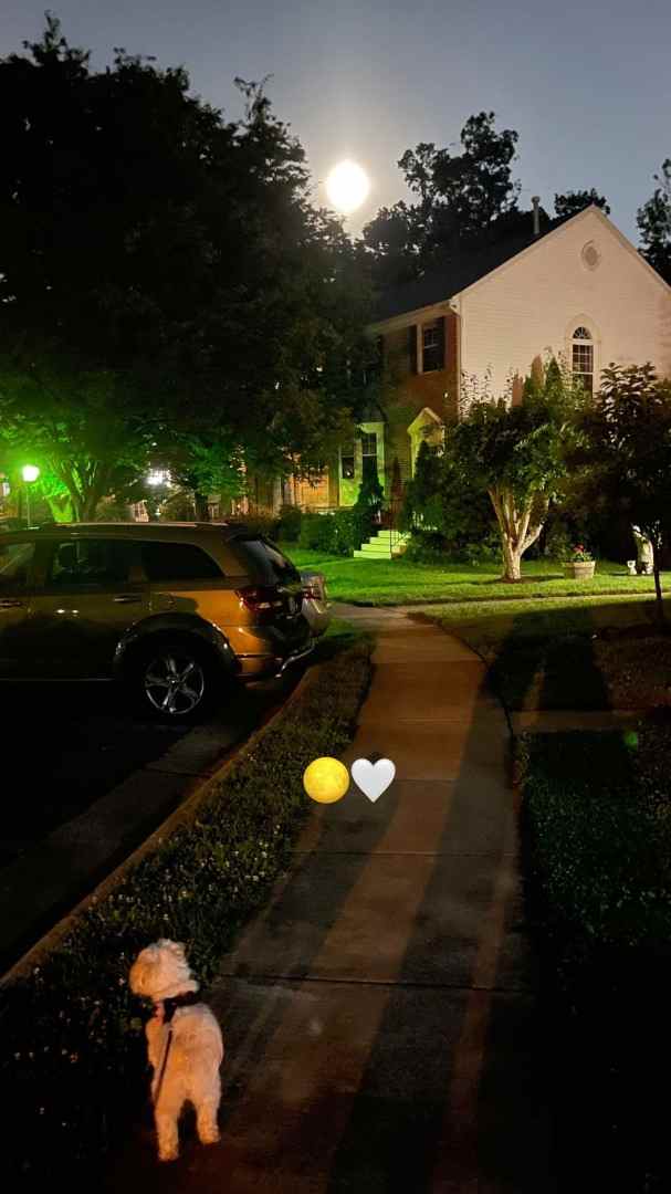عکس ویلای ساره بیات ویلای ساره بیات