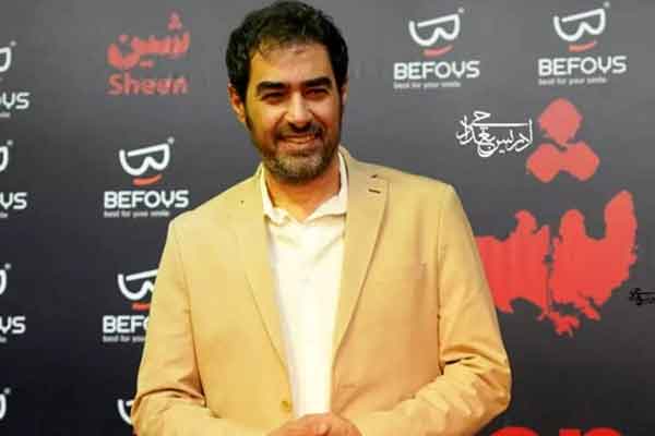 ساناز ارجمند عکاس همرفیق