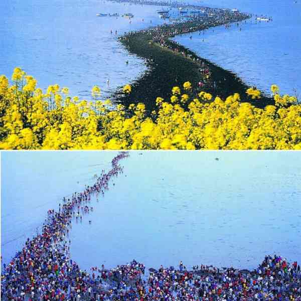 شکافته شدن دریا توسط حضرت موسی معجزه حضرت موسی