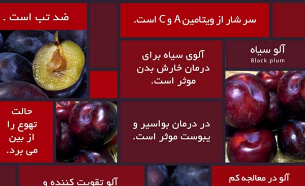 اگر کم خونی و فقر آهن دارید از این میوه خوشمزه تابستانی غافل نشوید اگر کم خونی و فقر آهن دارید از این میوه خوشمزه تابستانی غافل نشوید