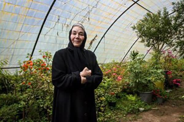 محل زندگی پروانه معصومی