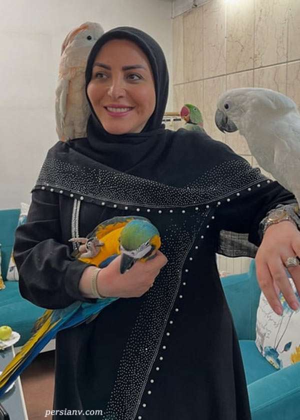 طوطی های سخنگوی خانم مجری