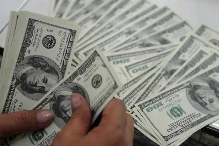 دلیل اصلی دولت برای حذف ناگهانی ارز ترجیحی اعلام شد