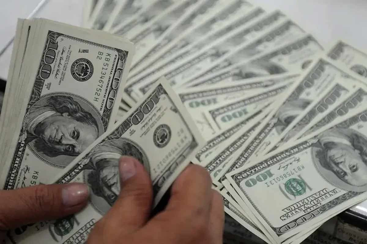 دلیل اصلی دولت برای حذف ناگهانی ارز ترجیحی اعلام شد