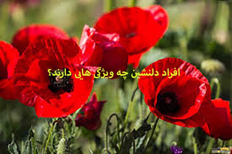 روانشناسی شخصیت : افراد دلنشین چه ویژگی هایی دارند؟ و متولدین کدام ماه ها دلنشین ترند ؟