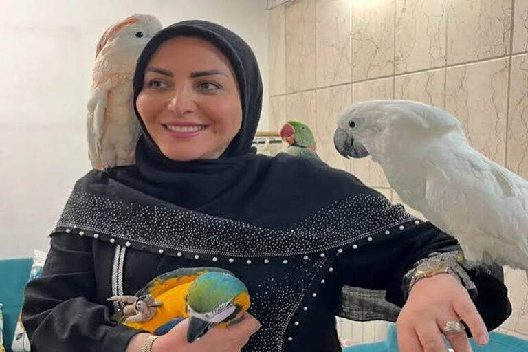 المیرا شریفیمقدم ۴۵ ساله شد / ژست پرانرژی و متفاوت مجری تلویزیون در جشن تولدش خبرساز شد + عکس