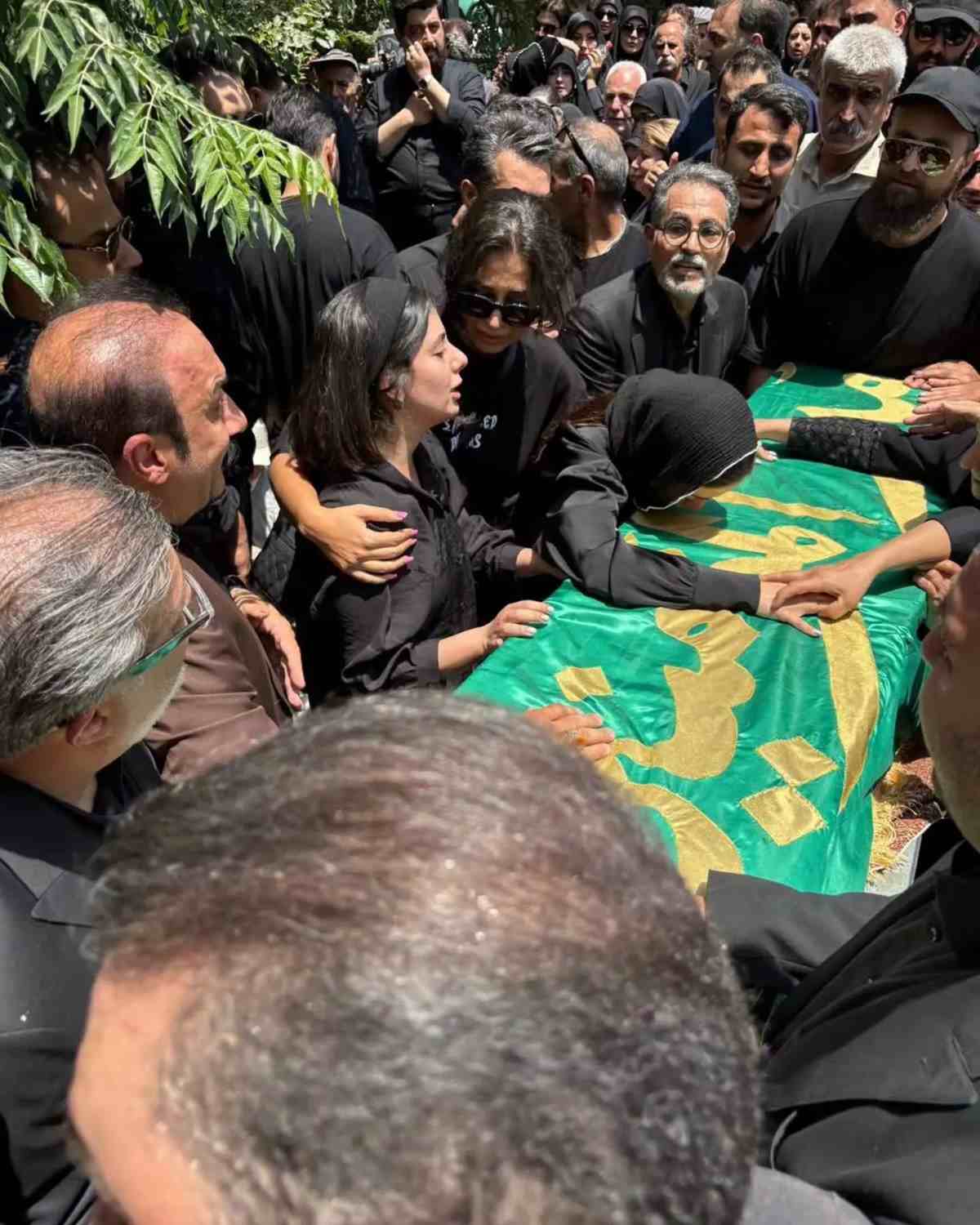 خانواده فرزاد جمشیدی