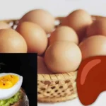 تخم‌مرغ برای کبد مفید است یا مضر؟ | پاسخ متخصصان درباره تأثیر آن بر کبد چرب