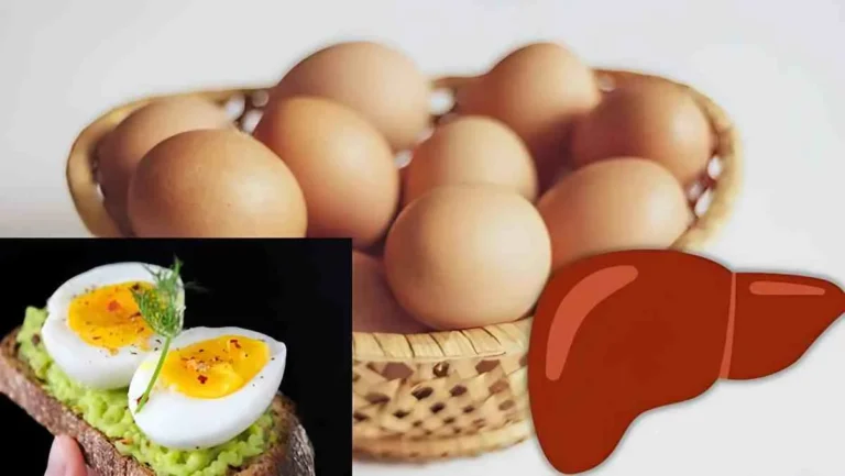 تخم‌مرغ برای کبد مفید است یا مضر؟ | پاسخ متخصصان درباره تأثیر آن بر کبد چرب