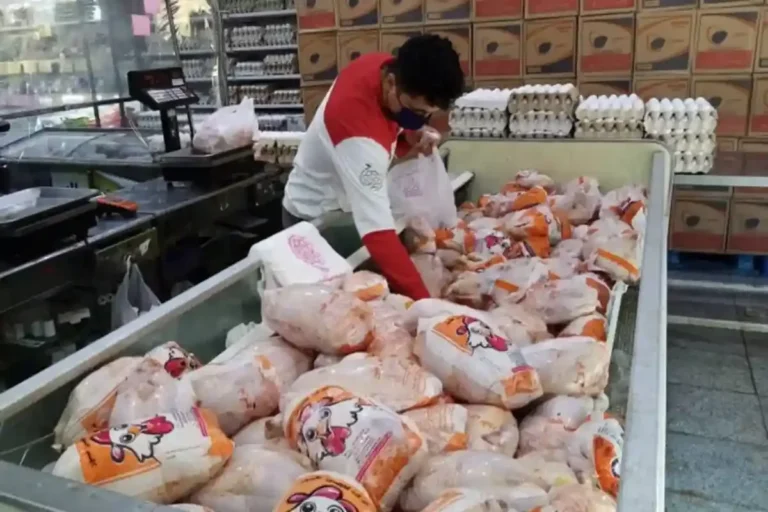 ماجرای ۲۰۰۰ تن مرغ تاریخ‌گذشته در تهران چه بود؟ توضیح دامپزشکی درباره گوشت بوفالو