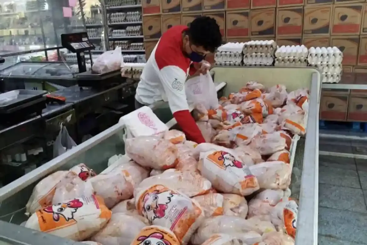 ماجرای ۲۰۰۰ تن مرغ تاریخ‌گذشته در تهران چه بود؟ توضیح دامپزشکی درباره گوشت بوفالو