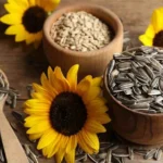 خلاقیت عجیب یک کشاورز در جداکردن تخمه آفتابگردان با لاستیک موتورسیکلت+ ویدیو