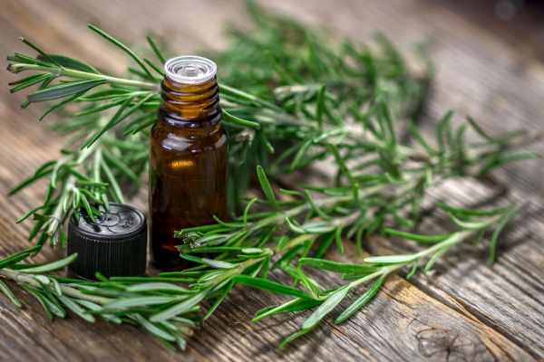 قطره رزماری و تاثیرش بر رشد