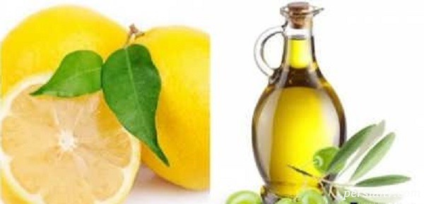 ماسک مناسب برای رشد مو با روغن زیتون و لیموترش ماسک مناسب برای رشد مو
