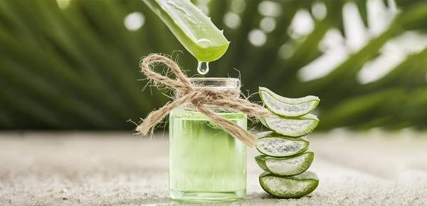 چگونه با استفاده از آلوئه ورا میتوانیم آکنه را درمان کنیم؟