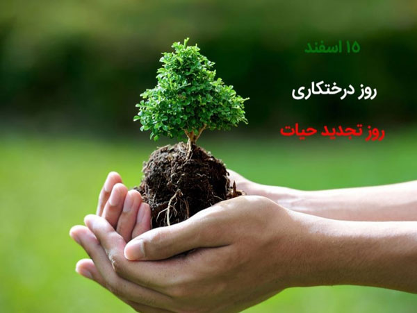 اهمیت درختکاری