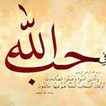 معنی شعر لطف حق