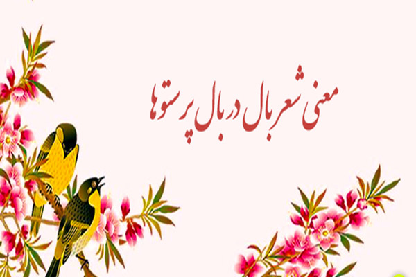 معنی شعر بال در بال پرستوها ؛ بال در بال پرستوها  : معنی کامل، مفهوم و کلمه ها و آرایه‌های ادبی (فارسی پنجم)