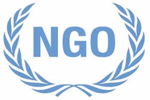 انجمن ngo چیست